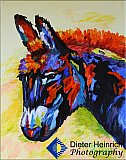 Active Strength - Gallery 4.2 PHOTOS of ART