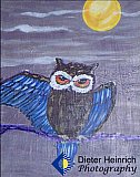 Stretching Curiosity - Gallery 4.2 PHOTOS of ART