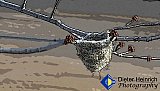 Winter Nest - Gallery 4.3 Just for FUN