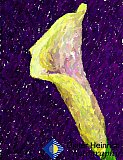 Lily of my Spirit - Gallery 4.1 Artistic Photos