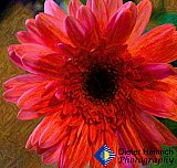 Energy to Share - Gallery 4.1 Artistic Photos
