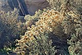 Sego Canyon, Utah &mdash; photo 4 - Sego Canyon UT