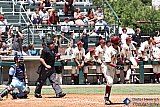 Flying bat - Gallery 5.2  Sports