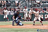 One-handed batting - Gallery 5.2  Sports