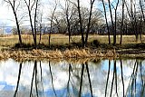 Reflection of Conservation - Gallery 3.3  Water and Sky