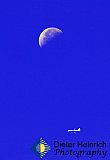 Fly me to the moon - Gallery 9 Unique