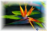 Elegance of Huntington - Gallery 4.1 Artistic Photos