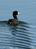In my wake - NEW Photos