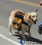 Blossom Festival 2019 &mdash; photo 218 - 01-Blossom Festival 