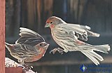Careful Landing - Gallery 1  Birds