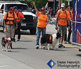 Blossom Festival 2019 &mdash; photo 179 - 01-Blossom Festival 