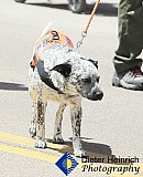 Blossom Festival 2019 &mdash; photo 176 - 01-Blossom Festival 