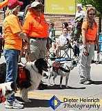 Blossom Festival 2019 &mdash; photo 175 - 01-Blossom Festival 