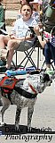 Blossom Festival 2019 &mdash; photo 174 - 01-Blossom Festival 