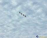 Air Show &mdash; Blue Angels &mdash; photo 37 - GJ Air Show - Blue Angels