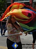 Blossom Festival 2019 &mdash; photo 101 - 01-Blossom Festival 