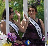 Blossom Festival 2019 &mdash; photo 36 - 01-Blossom Festival 