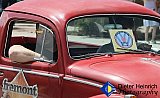 Blossom Festival 2019 &mdash; photo 769 - 04-Blossom Festival 