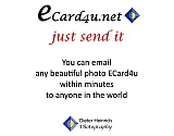 ECard4u &mdash; photo 1 - ECard4u is HERE for your enjoyment