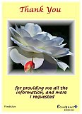 Possibilities - Thank You ... Ecard4u