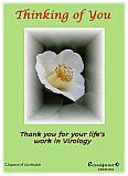 Elegance of Huntington - Friendship ... ECard4u