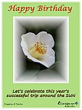 Elegance of Service - Birthday ... Ecard4u
