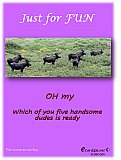 Five moose are courting - Just for FUN ... Ecard4u