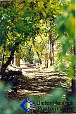 Poudre Trail Walk - Gallery 3.2  Landscapes