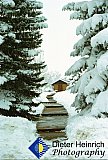 Little Chapel at Sunrise Ranch - Gallery 3.2  Landscapes