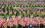 Our Nations Landscape - Gallery 3.2  Landscapes
