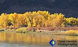 Colorado River Gold - Gallery 3.2  Landscapes