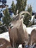 Snack in the Park - Gallery 3.1 Wildlife