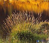 September Reflection - Gallery 3.2  Landscapes