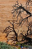Canyon Shadows - Gallery 3.2  Landscapes