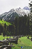 Mt. Sneffels rising from Dallas Creek - Gallery 3.2  Landscapes