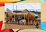 Dos Rios Park Fun - Gallery 8 Community Politics Events