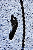 Trash Cart Foot Print in recent Grand Junction snow - Gallery 9 Unique