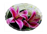 Lilies of my Friendship - Friendship ... Greeting Cards