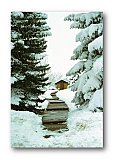 Chapel at Sunrise Ranch - Share the Moment ... Greeting Cards