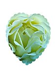 Delicate Friendship - Friendship ... Greeting Cards