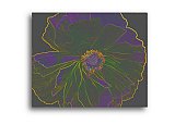 The Energy Within - Just for FUN ... Greeting Cards