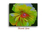The Energy Within - Thank You ... Greeting Cards