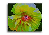 The Energy Within - Share the Moment ... Greeting Cards