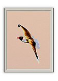 Gulf Gull - Friendship ... Greeting Cards