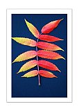 A Leaf of September - Friendship ... Greeting Cards