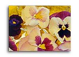 Bowl of Flowers - Friendship ... Greeting Cards