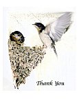 On my first flight - Thank You ... Greeting Cards