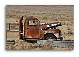Two old Coyote at Rest - Friendship ... Greeting Cards