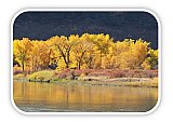 Colorado River Gold - Share the Moment ... Greeting Cards