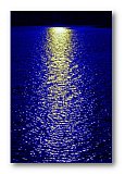 Golden Reflection - Friendship ... Greeting Cards